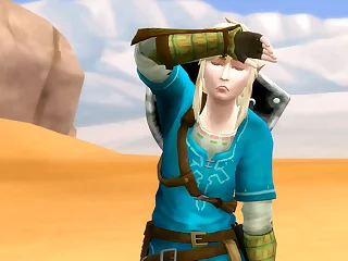 Legend Be useful to Zelda 2 - Link Gets Concentrating In The Desert