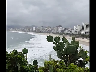 DOTADO MIJANDO NA PRAIA DE IPANEMA